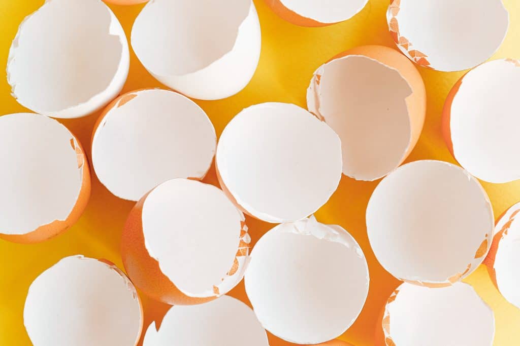 egg shells in garbage disposal